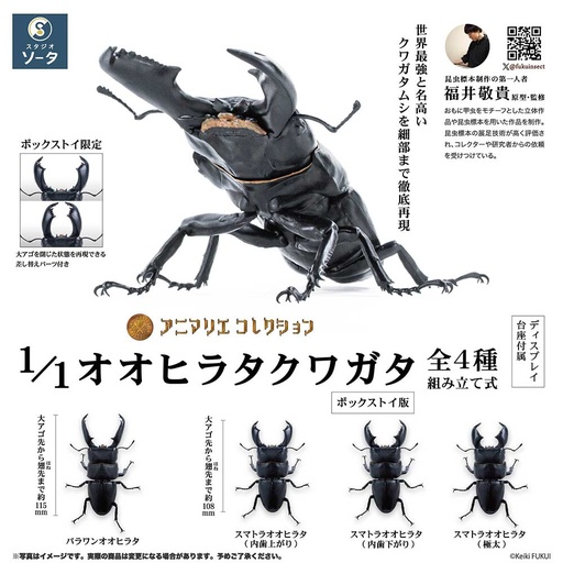 [9491310] (PO) Animalier Collection 1/1 Giant Stag Beetle [BOX]