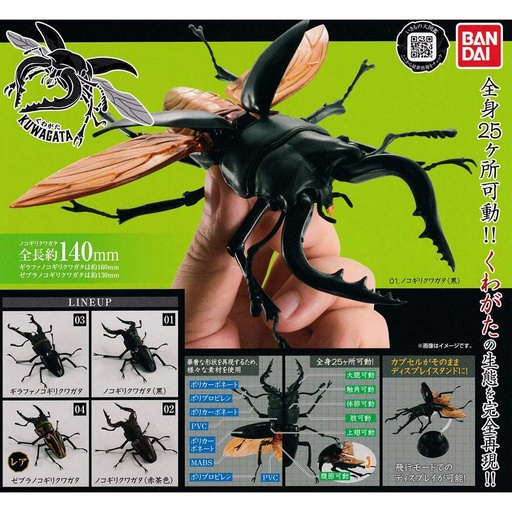 [4549660510376] Stag Beetle