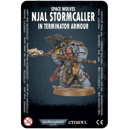 [1023110] Warhammer 40K: Space Wolves - Njal Stormcaller in Terminator Armour