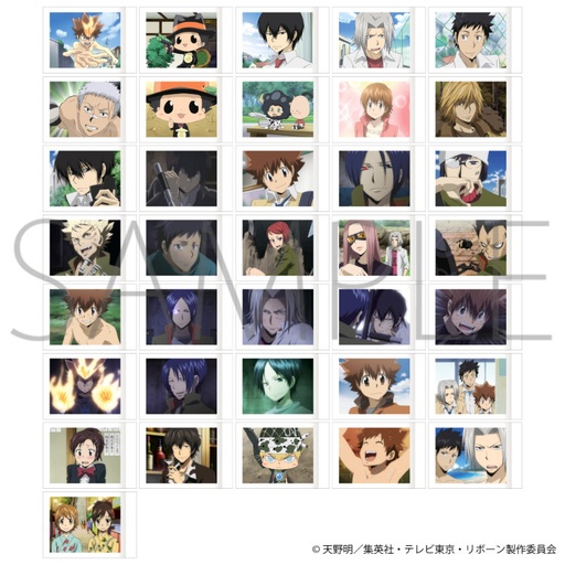 [1027239] (PO) Reborn! PashaColle Vol. 3 [BOX]
