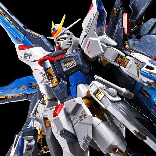 [2610393] RG Mobile Suit Gundam Seed - Strike Freedom Gundam (Titanium Finish)