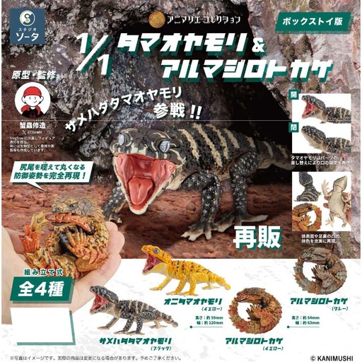 [1786039] (PO) Animalier Collection 1/1 Knob-tailed Gecko & Ouroborus Cataphractus (Re-issue) [BOX]